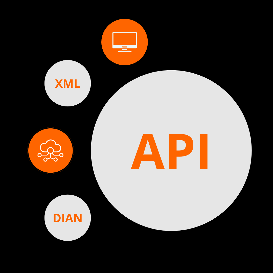 El texto del párrafo (14)