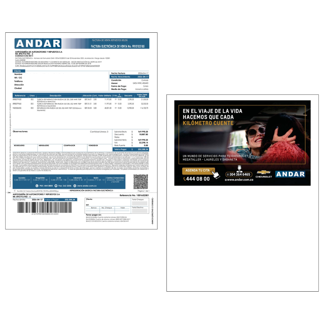 El texto del párrafo (17)